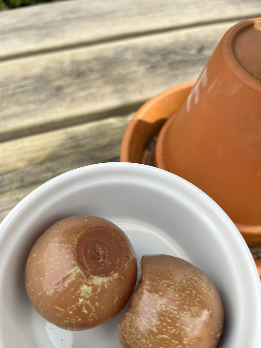 A close up of two discoloured pickled onions in a small white bowl