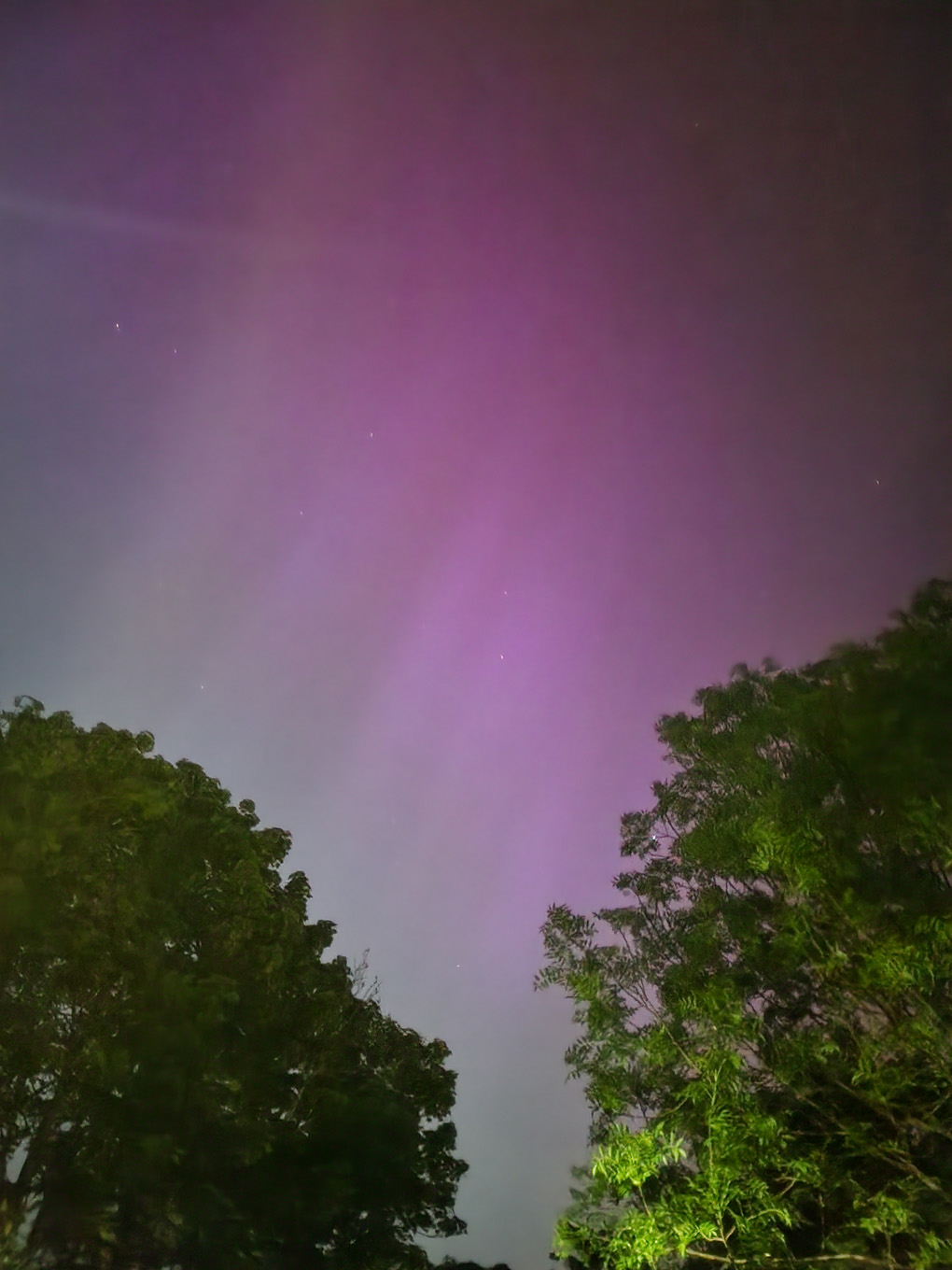 The night sky with purple and blue lights across it - the Northern lights