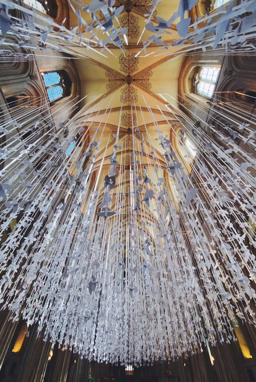 Rows and rows of beautiful white, origami doves hung over the nave of Wells Cathedral.