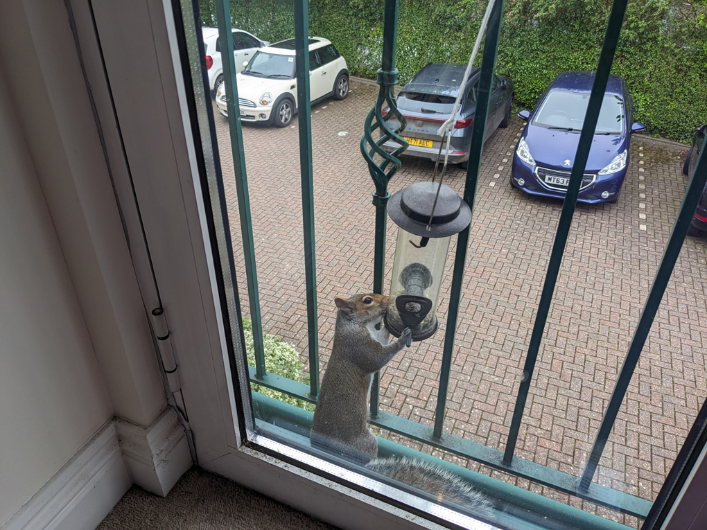 View through glass door of a squirrel sat on a balcony attempting to get food out of a bird feeder