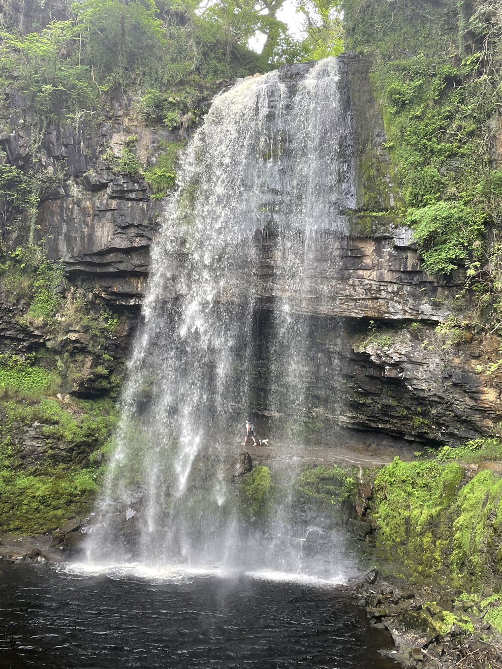 Huge waterfall with tiny person and dog behind curtain of water