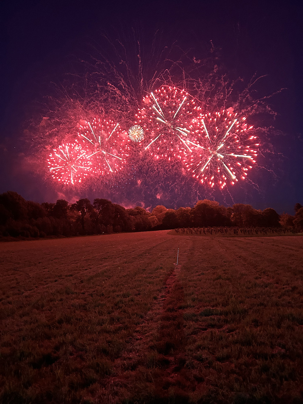 Red fireworks over a field