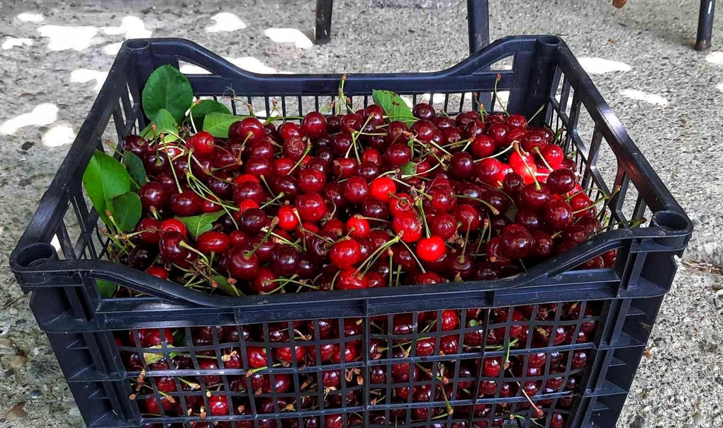 A crate of cherries