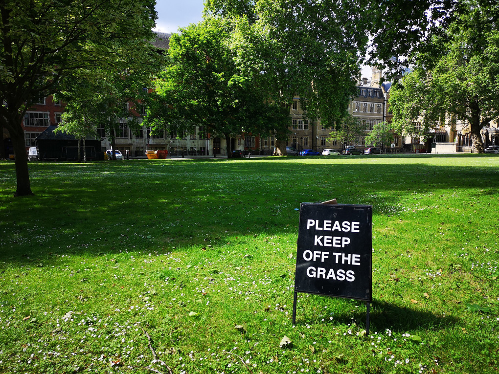 Lawn with trees and a 