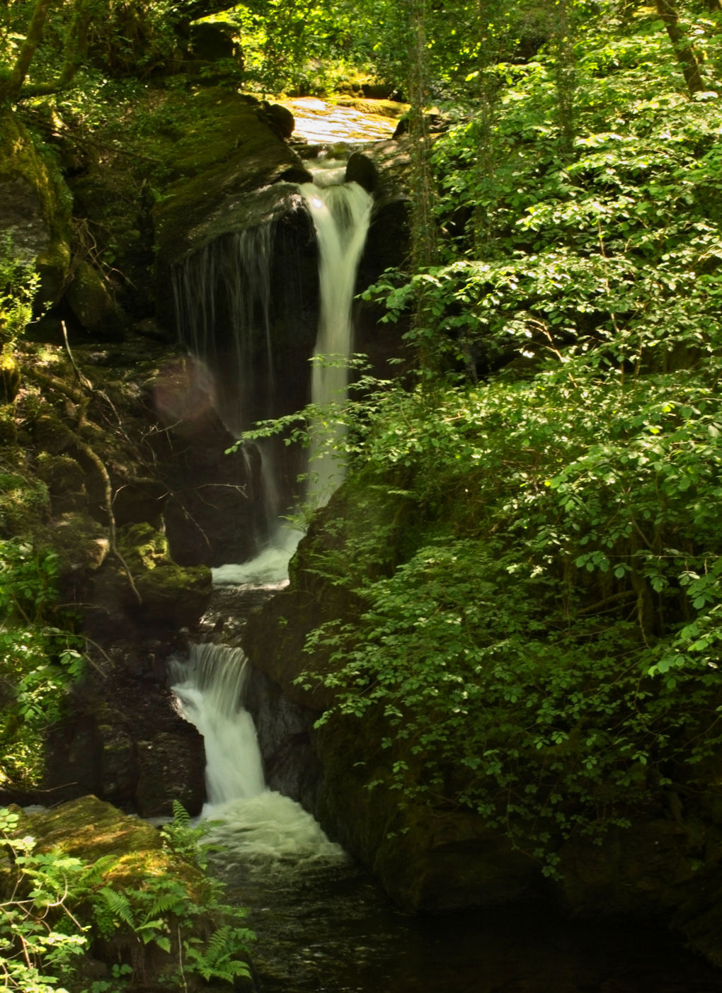 Slow exposure to blur the water as it falls in three steps amid sun-dappled trees