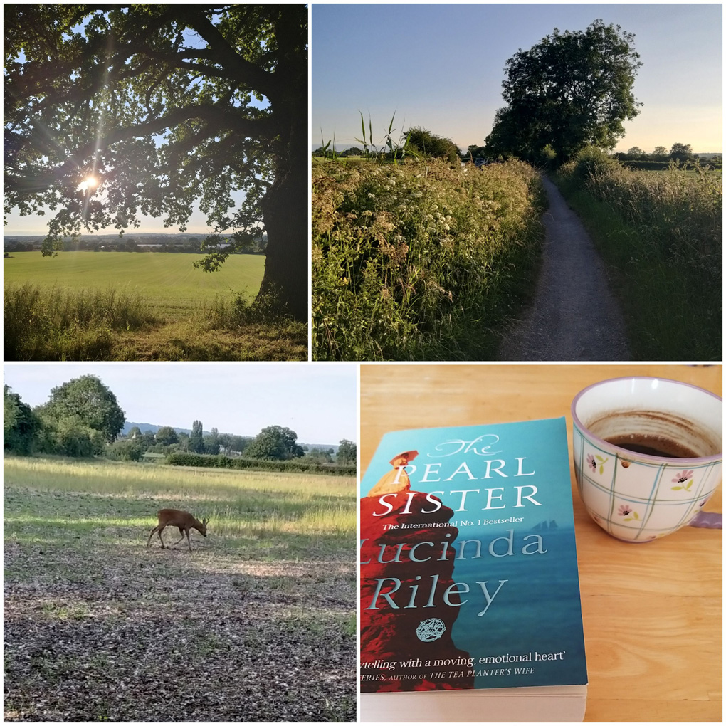 A collage of 4 pics; a green oak tree, the canal towpath, a deer eating grass, all with surrounding green, blue skies and bright summer light.  The fourth pic is a good book and a cup ofcoffee