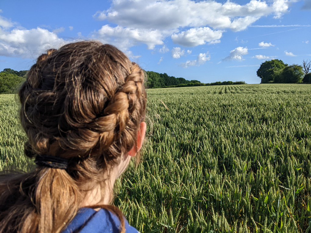 Field in Kent