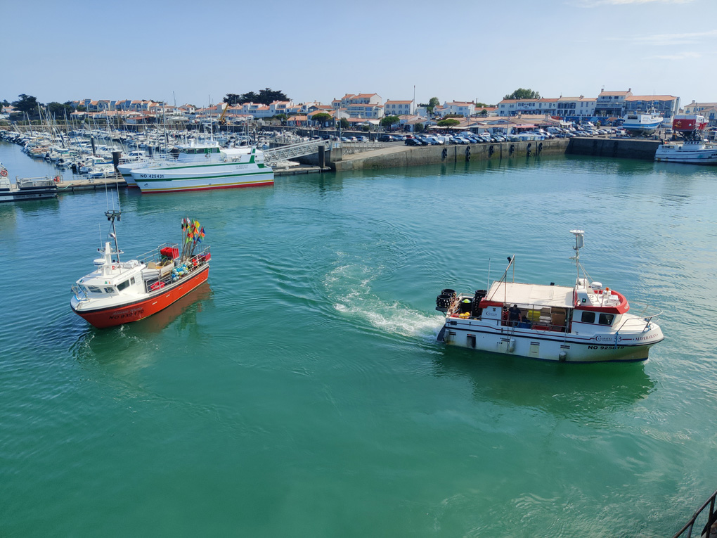 Two fishing boats landing catches on a sunny day in front of the marina