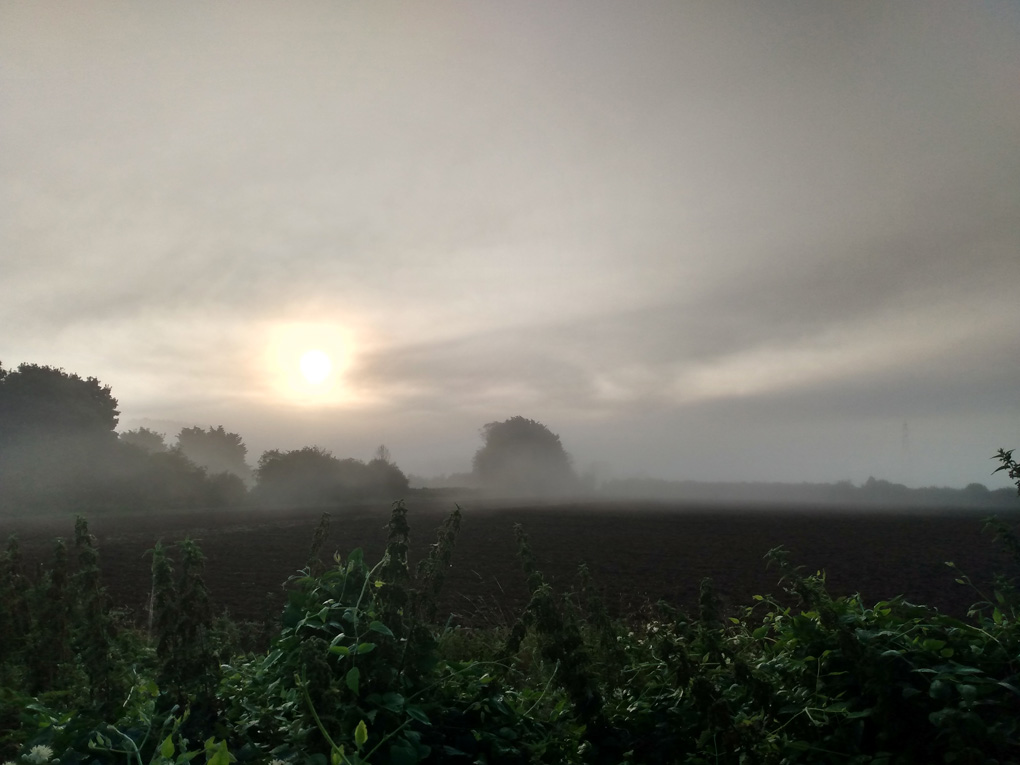 The silhouette of trees and the sun are set out in some morning fog across some fields