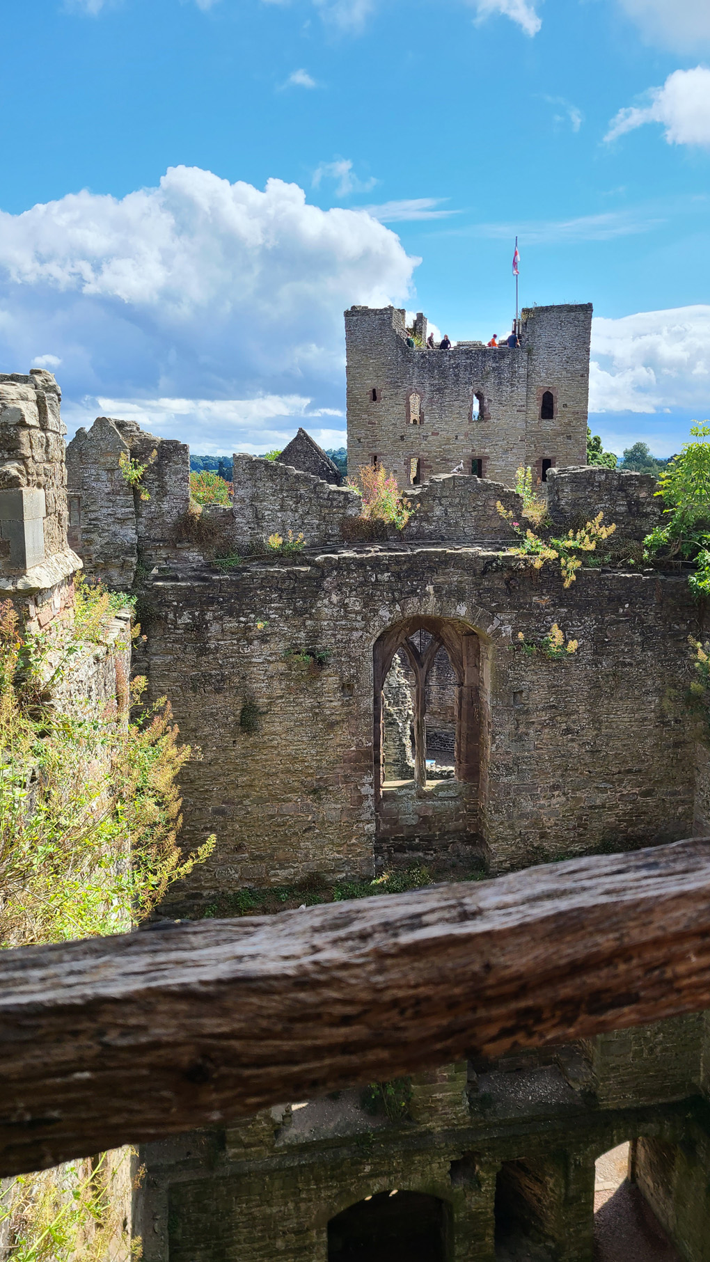 The view from a walkway part way up the walls, looking through Ludlow Castle, towards the Keep with a sunny blue sky and fluffy clouds There is a wooden railing in the fireground and lots of green vegetetaion grwoing out of the Castle's stone walls..