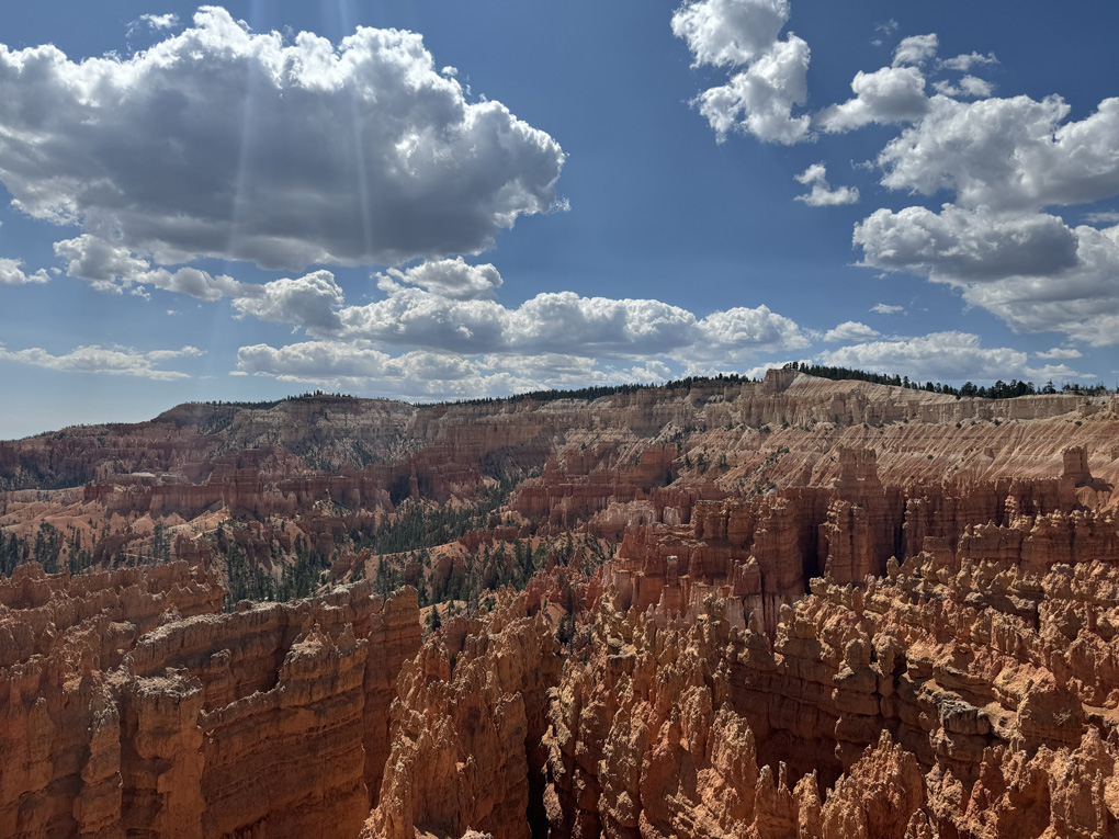 Bryce Canyon pillars in the sun