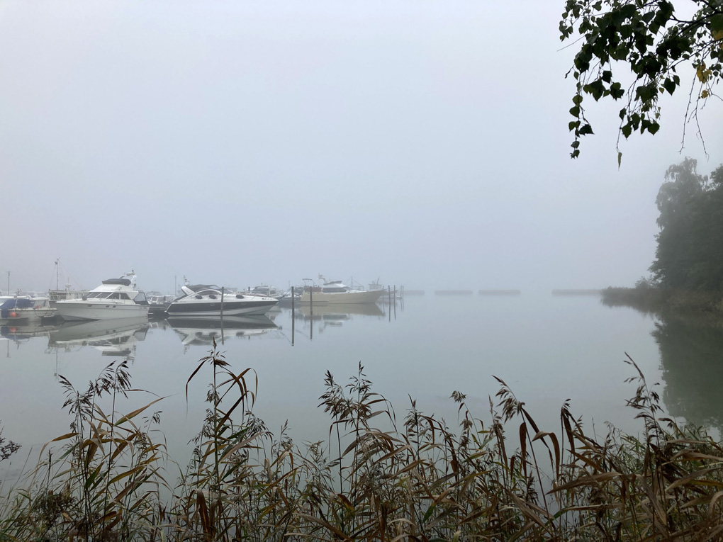 Boats, water, fog