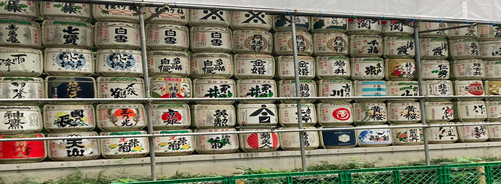 Many jugs of sake on shelves