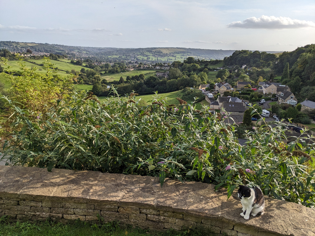 Overlooking rolling hills and countryside. A low wall runs from left to right on which a black and white cat sits at the right side of the picture.