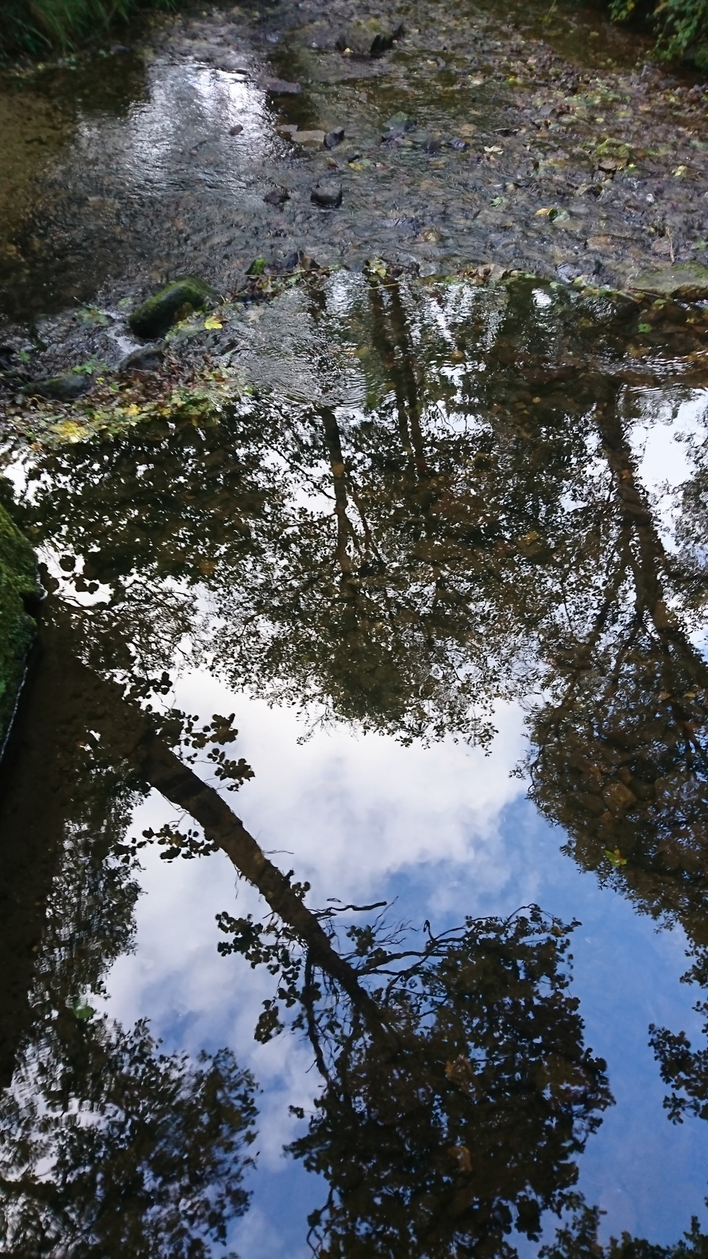 From an old wooden bridge over a river I captured an upside down image of trees in a patch of blue sky in the mirror like water. Blue sky - a rare sight this year in South Wales!