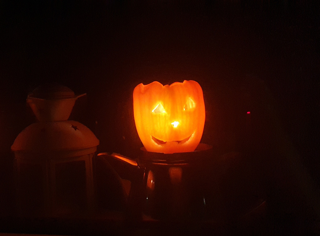 An orange pepper with a face carved into it. A candle inside illuminates it as it looks out a dark window