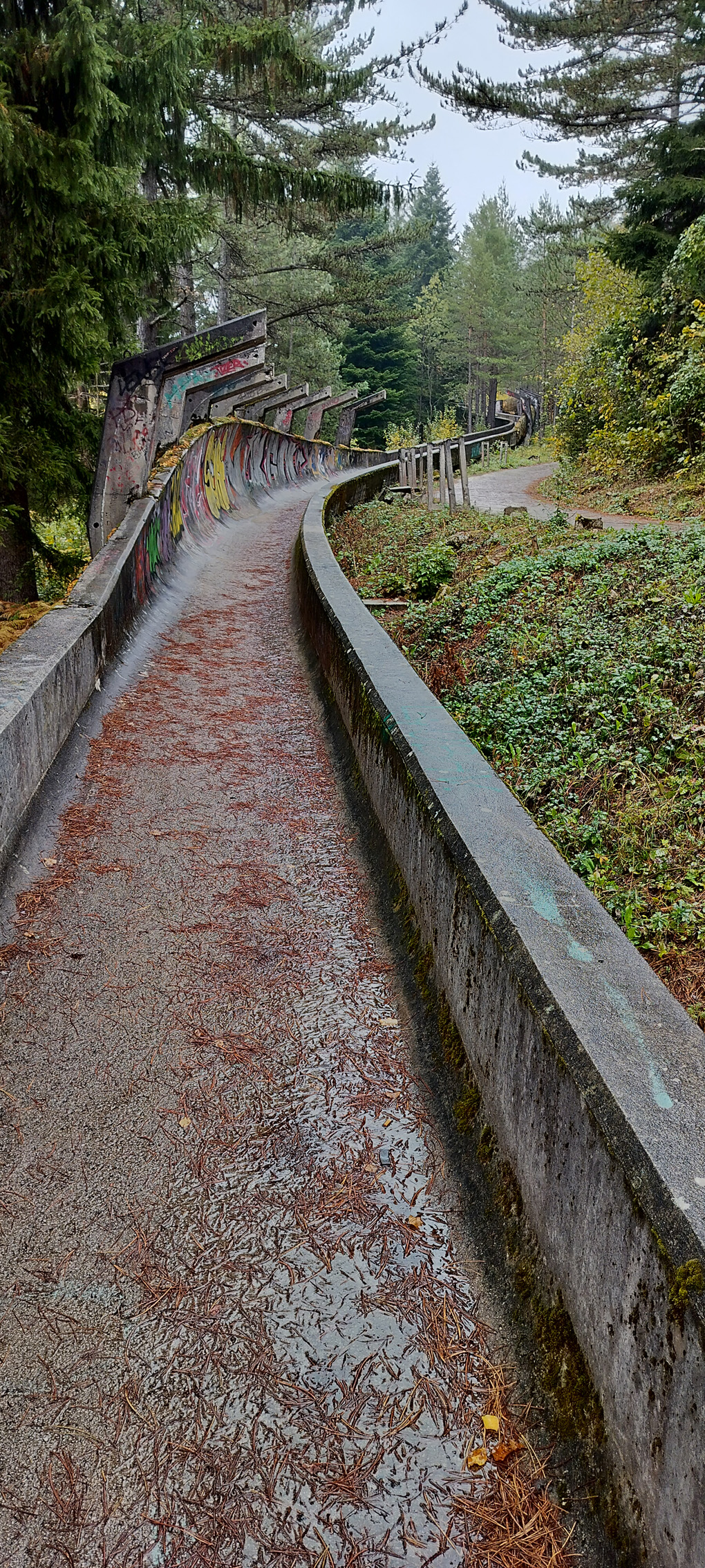 An autumnal and wet day - a concrete bobsleigh track lies ahead, covered in pine needles. There are bends which show how the track curves upwards as it goes around corners. At the bends the track is covered in graffiti.