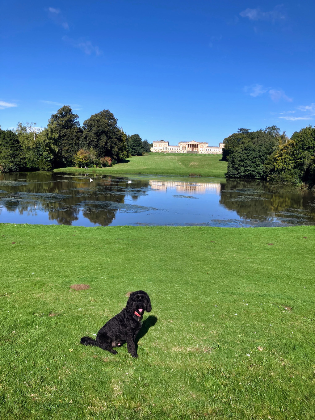 Ozzie sitting nicely with the lake and the grand house at Stowe in the background.