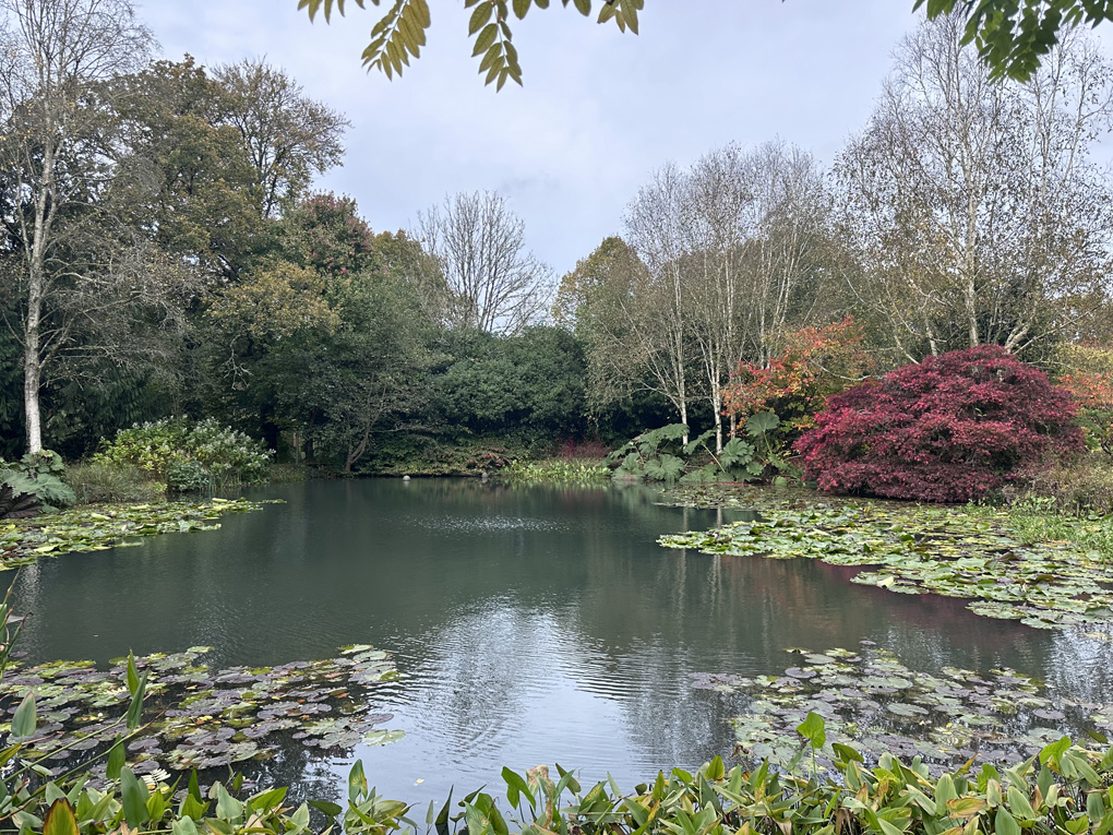 Pond surrounded by mixed trees with rich autumnal foliage