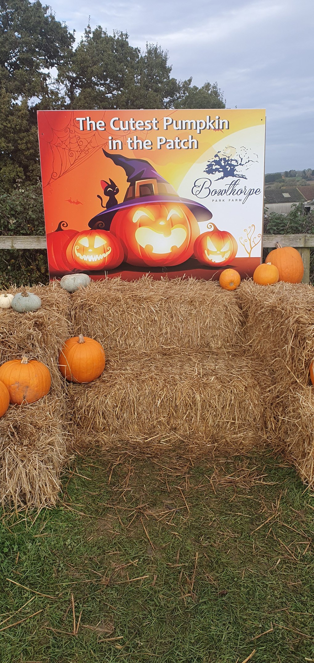 Hay bale seat with pumpkins for parents and children to use as a photo opportunity