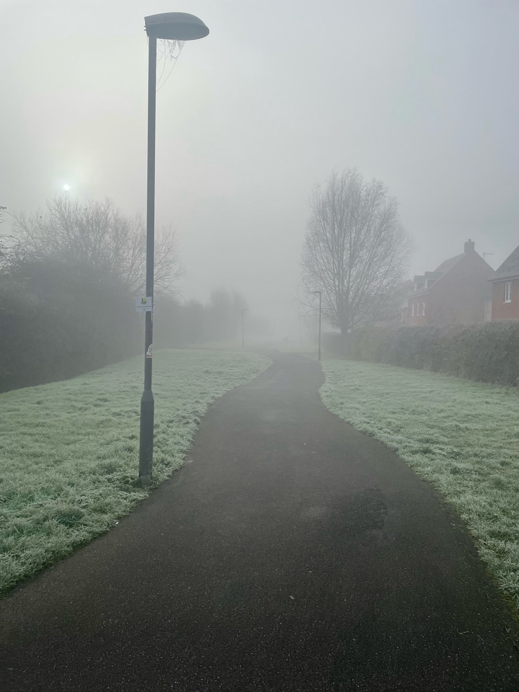 A winding path disappears into mist with frosty grass.