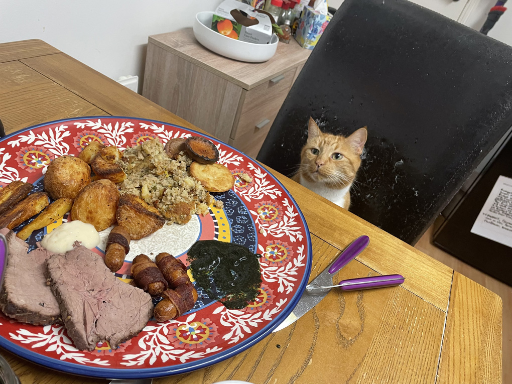 Chuckie, our 3 legged ginger cat eyes up an oversized plate of Christmas food.