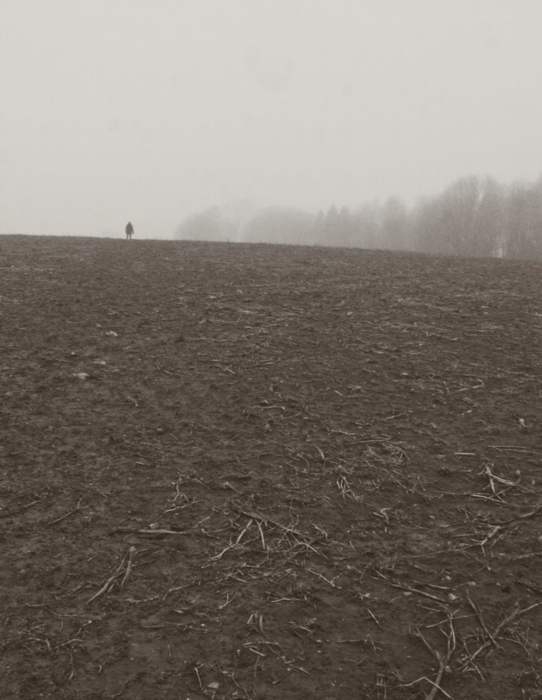 A bleak picture with only three elements. We're looking up a muddy slope to a distant figure a few trees lie hidden in the mist in the background.