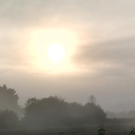 The silhouette of trees and the sun are set out in some morning fog across some fields