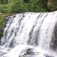 Big wide waterfall in an arc, with a backdrop of moss and trees