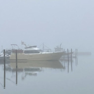 Boats, water, fog