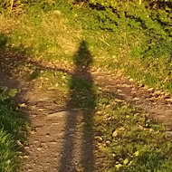 Trees illuminated in the setting sun, and the long shadow of the photographer