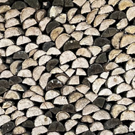 Man standing in front of a huge pile of chopped logs