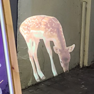 A person dressed in black with a small white projector in their forearm, projecting a deer onto the external, white wall of a takeaway shop.