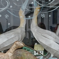 A Christmas window in the coastal town of Fishguard depicting two large gulls and two curlews on a rock rising from the waves with smaller birds flying through swirls of white and dots of sea foam splashed around making for a wintery and cool scene.