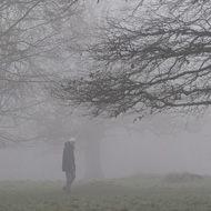 Lone figure walking through trees in a fog covered park