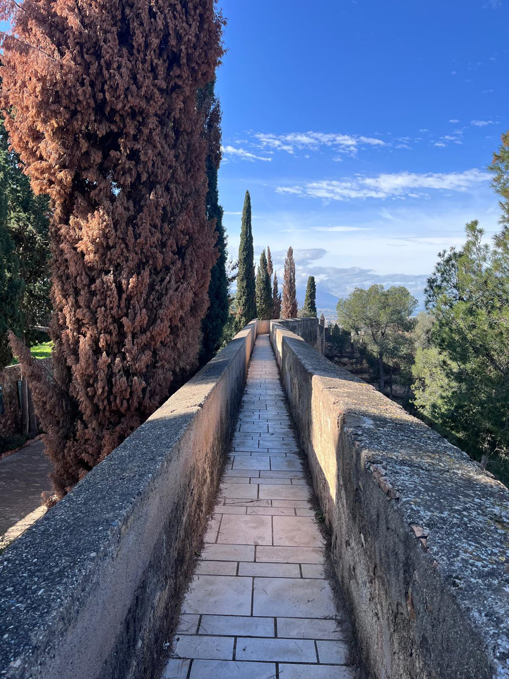 A path in the sunshine bordered by two castle walls, beyond which on each side is a sharp drop. The walls have trees growing on each side.