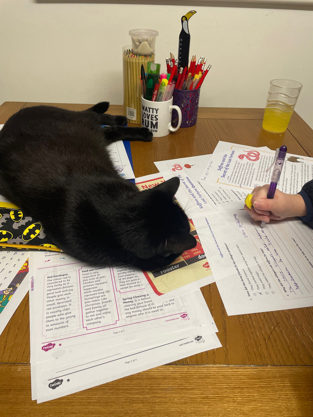 Black cat Salem, laying across work whilst intently watching a student