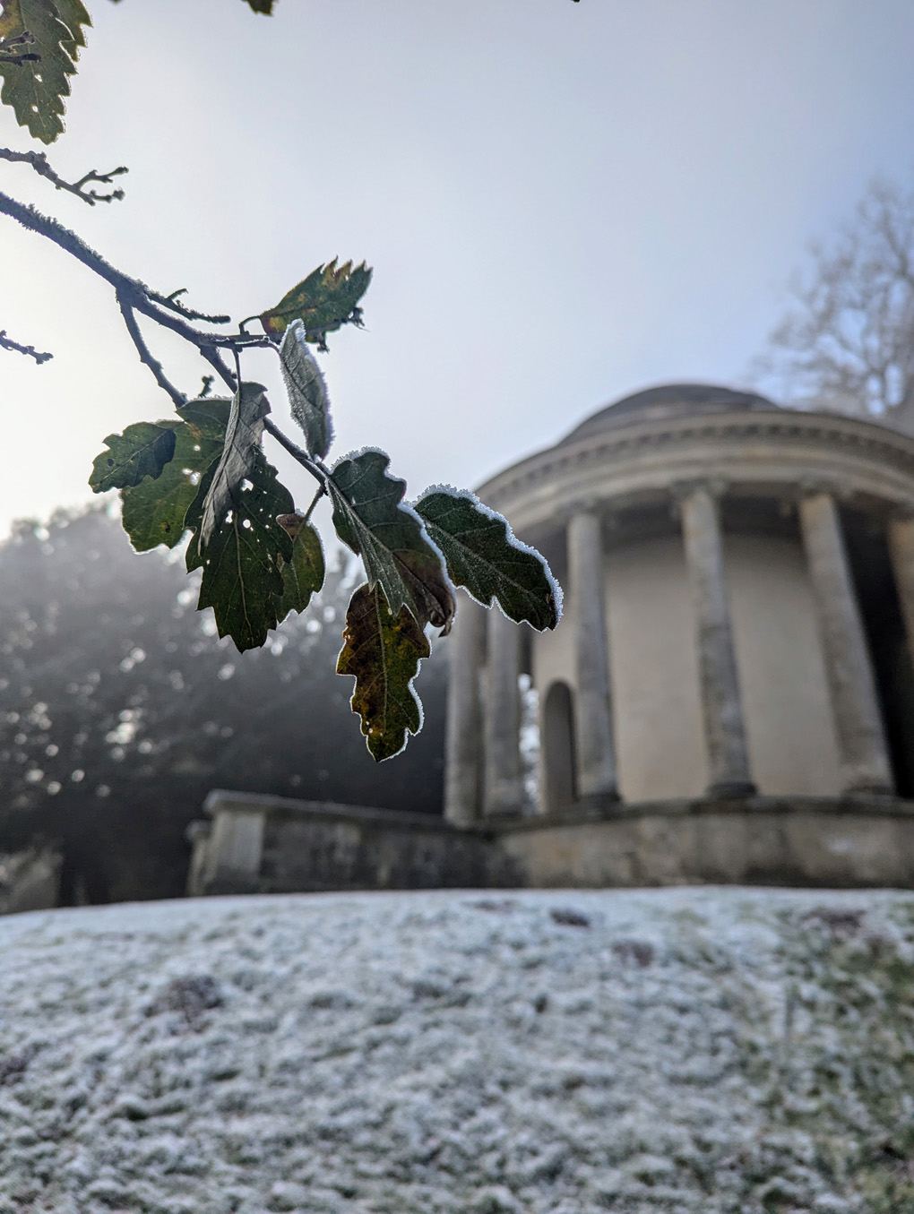 A leaf in the foreground edged with ice crystals. Out of focus behind is a ornate domed building