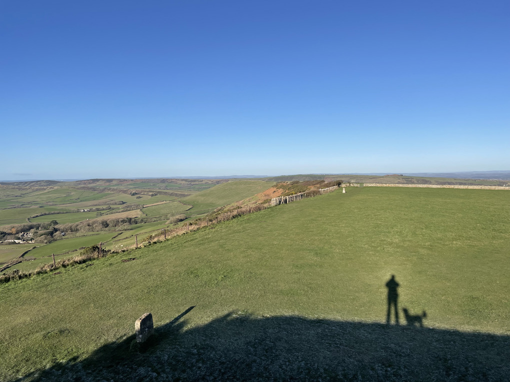 Green countryside with a small shadow of a person and a little dog