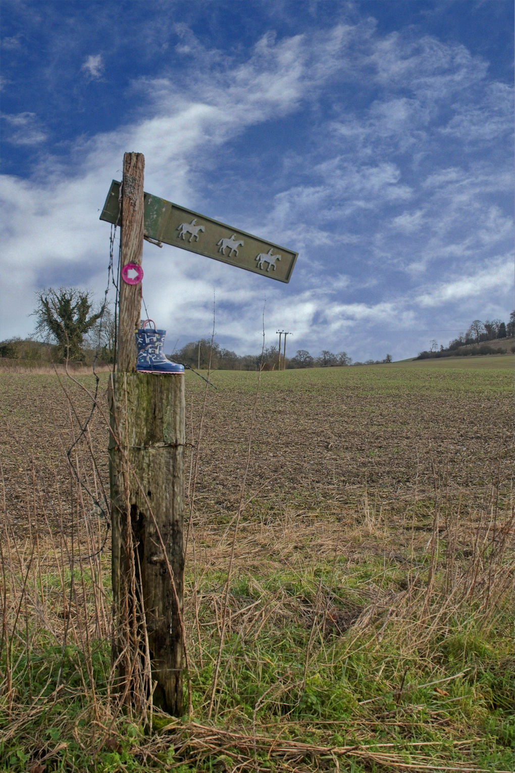 The foreground contains an old fencepost next to a bridleway sign. Instead of words the sign shows three outlines of horses. And on top of the fence post someone has placed a single blue  child's wellington.