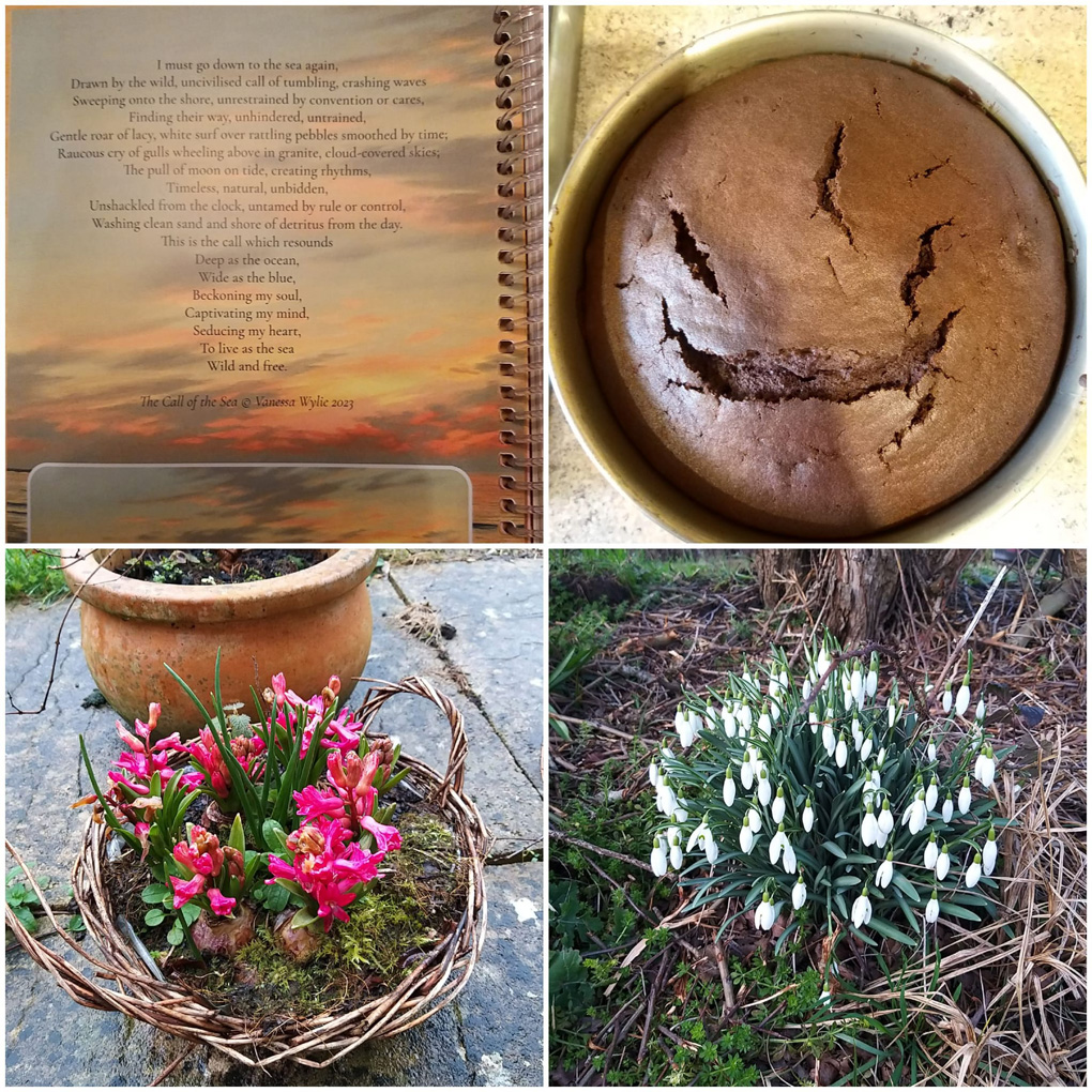 Pink hyacinths, snowdrops, a chocolate cake and a poem 