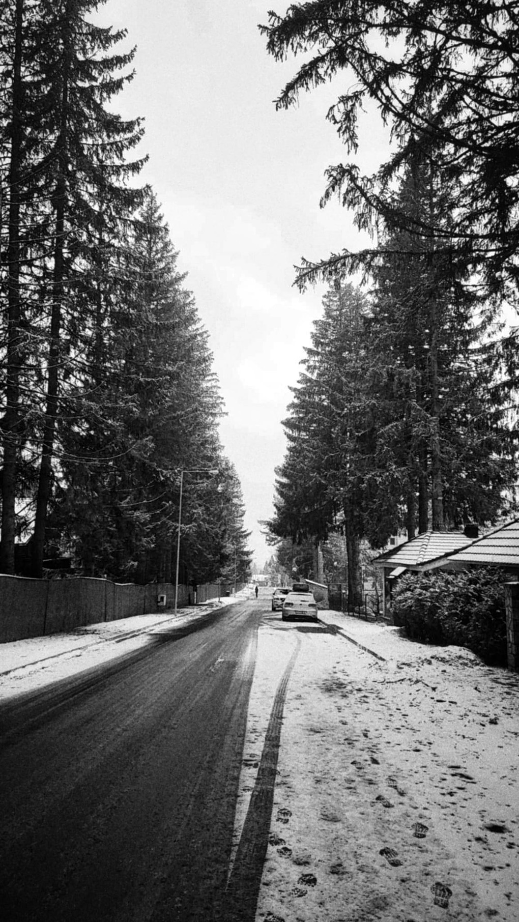 BW photo of winter snow