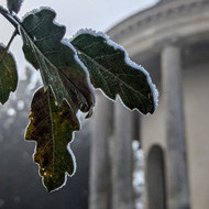 A leaf in the foreground edged with ice crystals. Out of focus behind is a ornate domed building