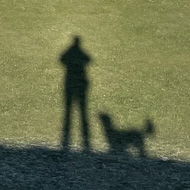 Green countryside with a small shadow of a person and a little dog