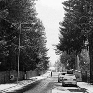 BW photo of winter snow